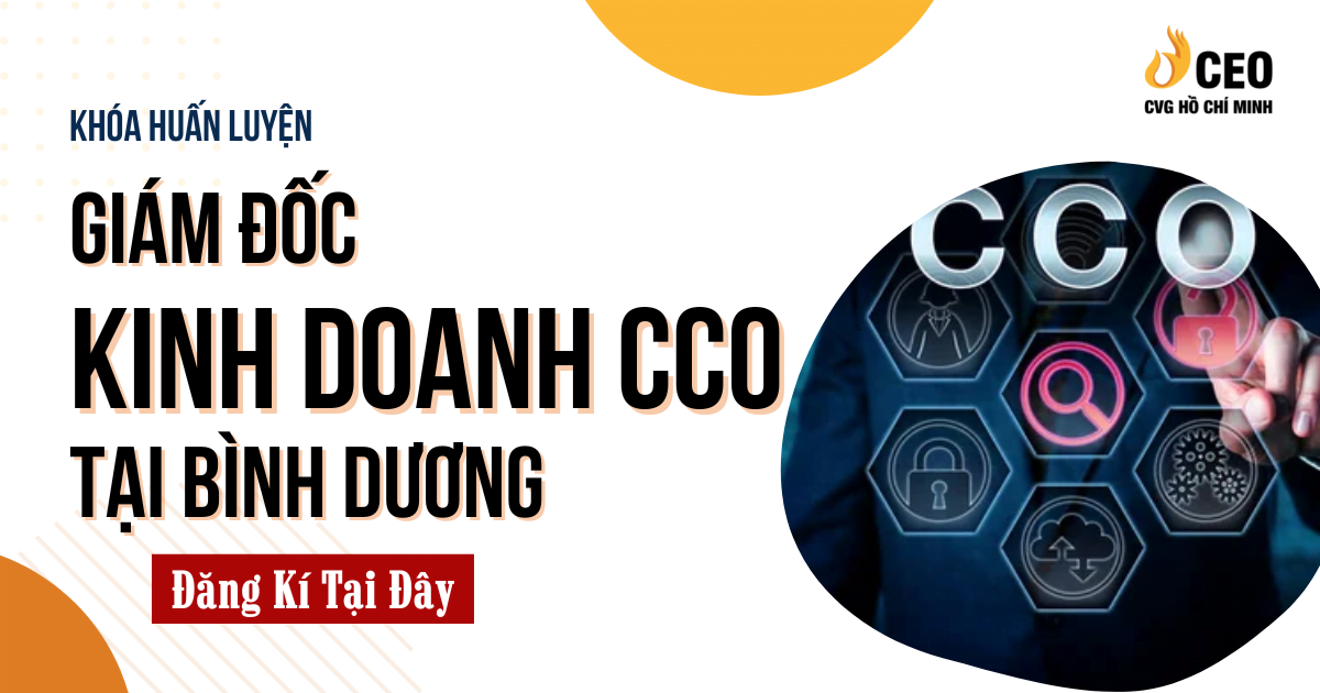 học giám đốc kinh doanh cco tại bình dương