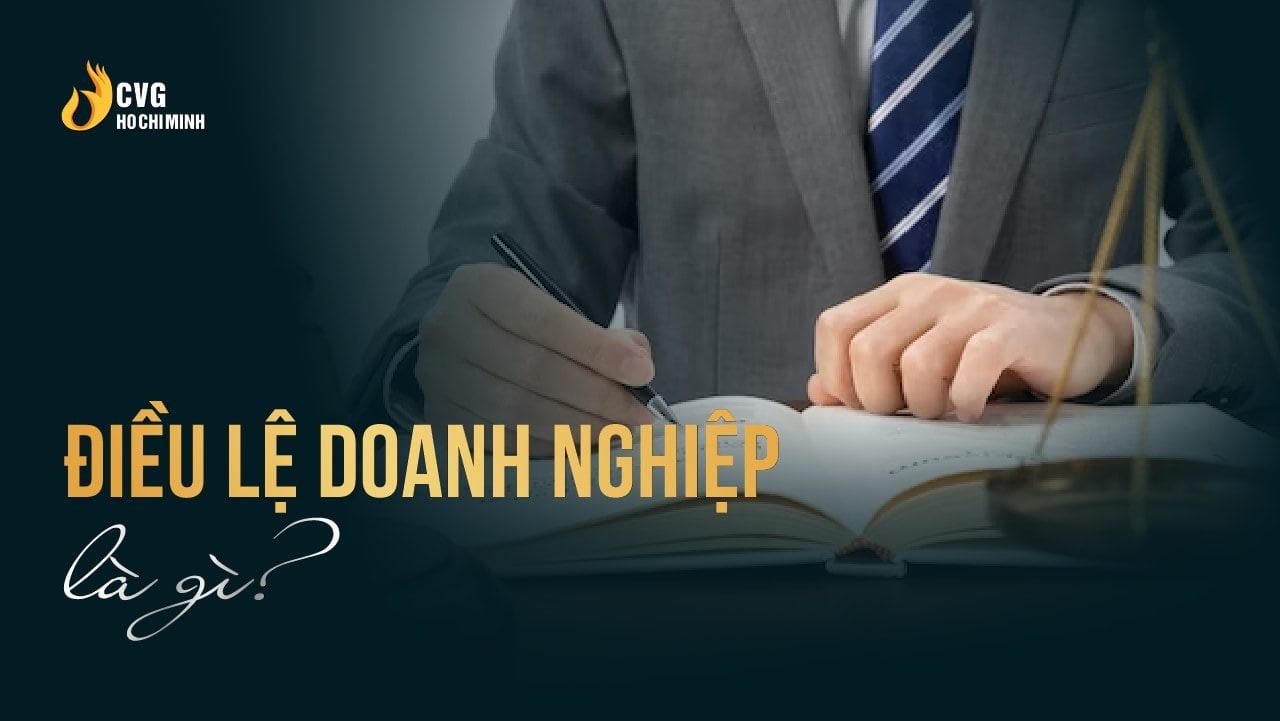Điều lệ doanh nghiệp là gì