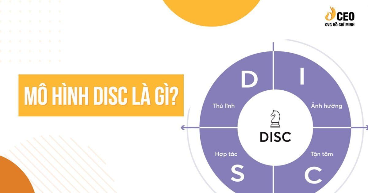 mo-hinh-disc-la-gi-2
