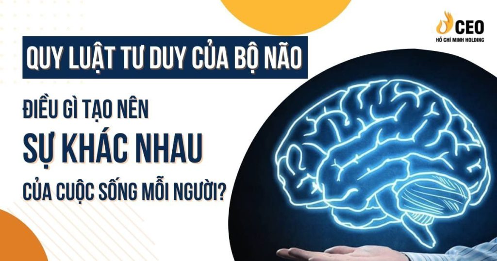 Quy luật tư duy của bộ não