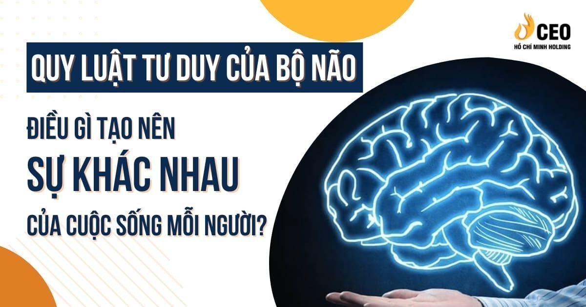 Quy luật tư duy của bộ não
